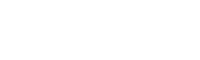 White ZESTRON Logo 